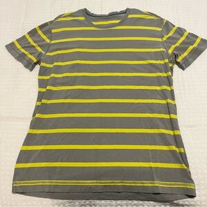 LULULEMON 5 Year Basic T Shirt